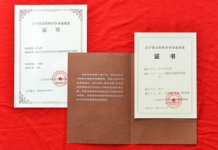 技术咨询与社会服务 融合与赋能